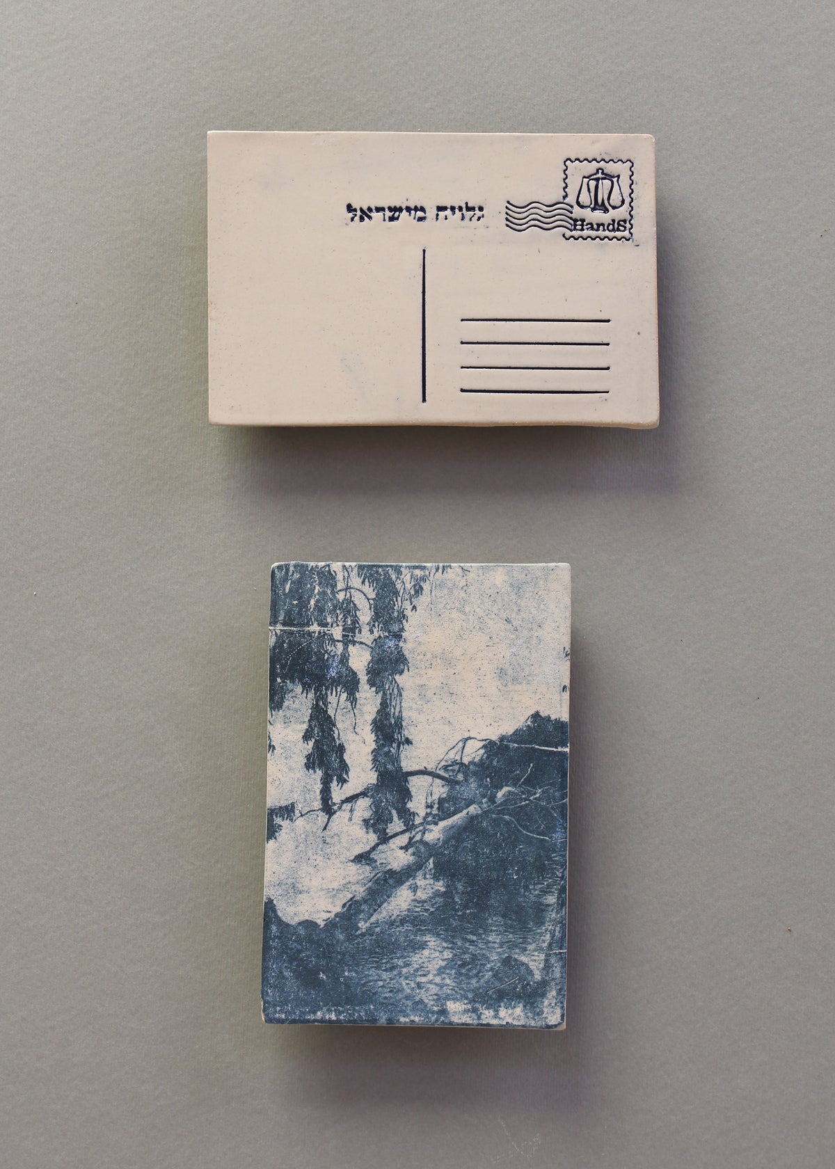עצי אקליפטוס, בול מזל מאזניים