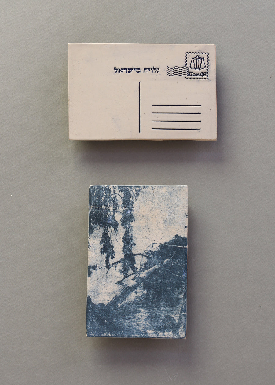 עצי אקליפטוס, בול מזל מאזניים