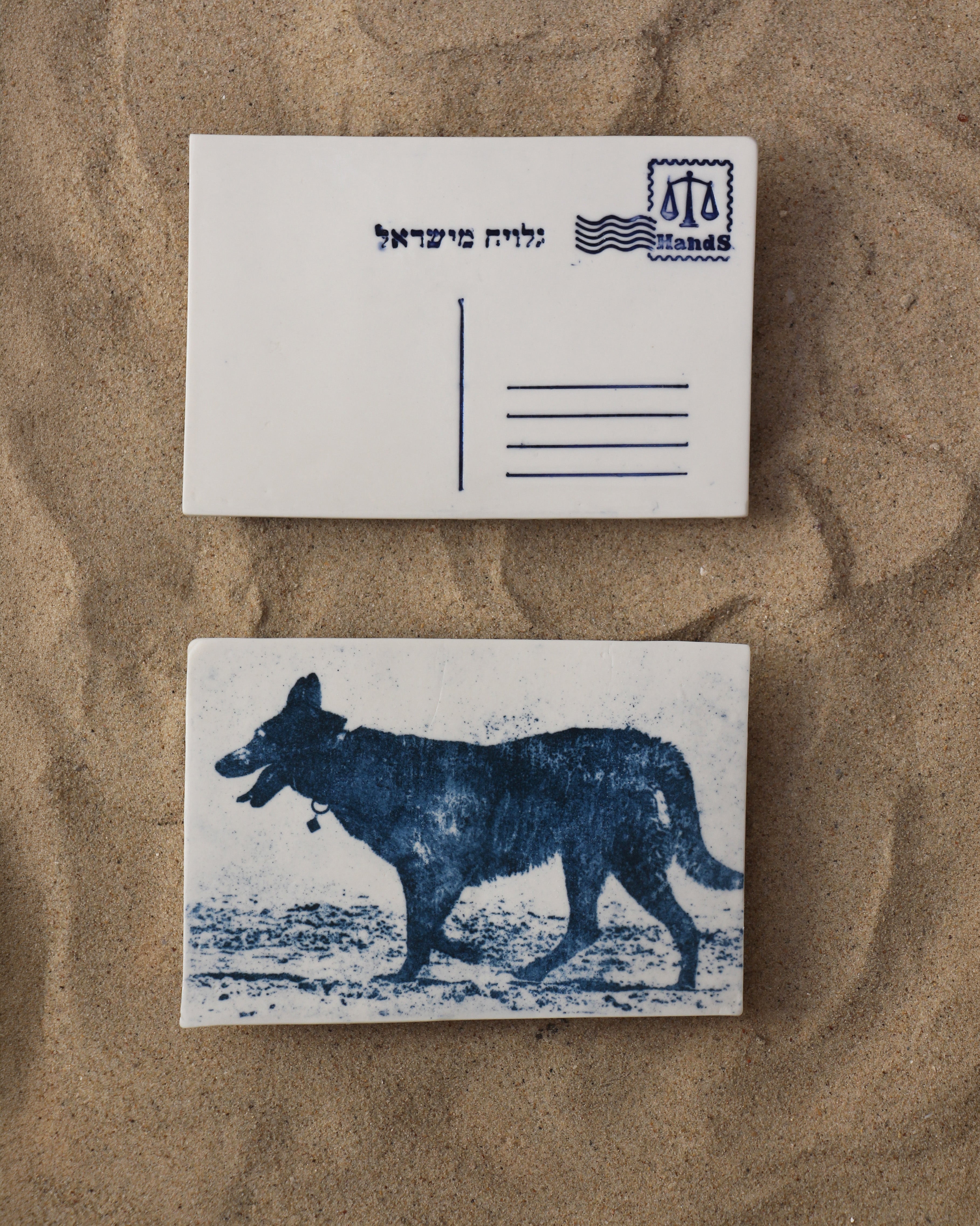 כלב, בול מזל מאזניים