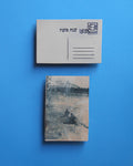 פורשים רשת בכנרת, בול מזל דגים