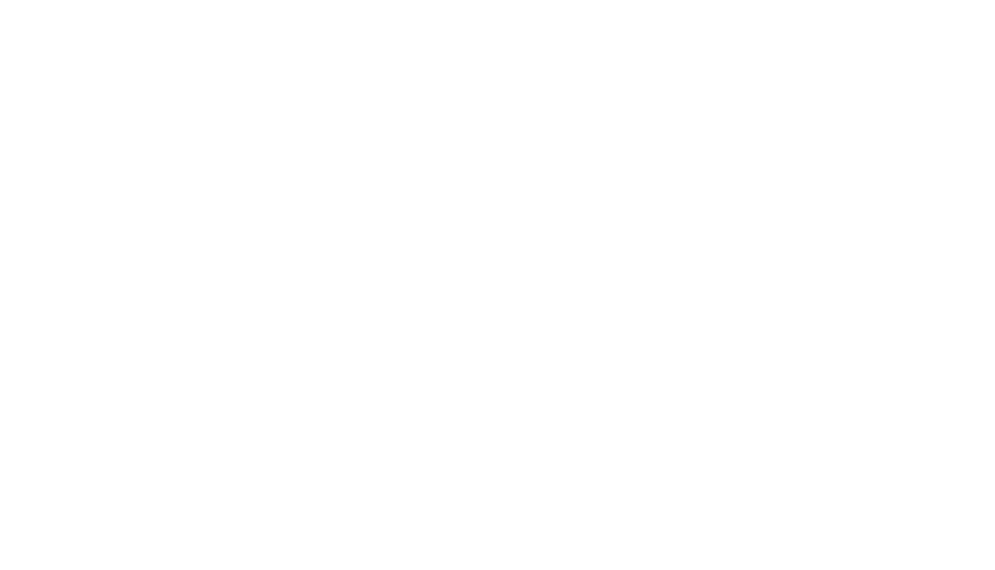 HandS 